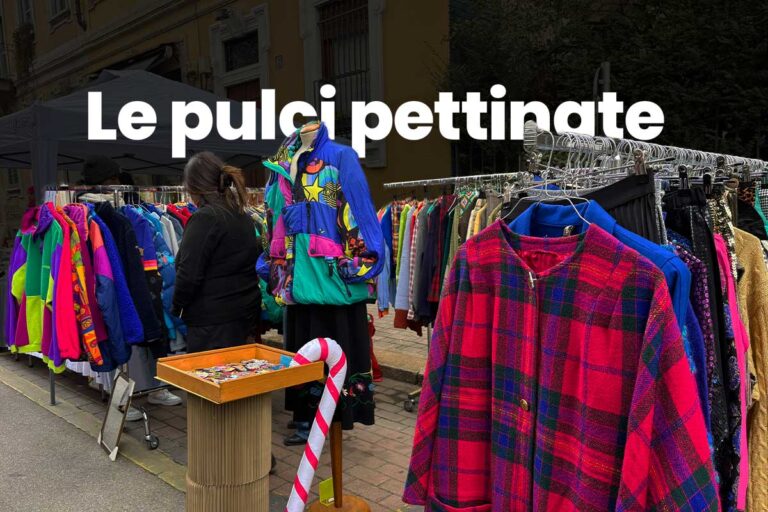 Un giorno alle Pulci Pettinate: mercatino vintage, moda lenta e ispirazioni a Milano